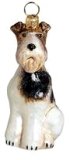 Wire Fox Terrier